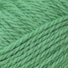 Load image into Gallery viewer, Woolyknit Aran, 50g
