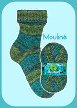 Load image into Gallery viewer, Opal Bouquet Mouline 4 ply sock yarn 11684 cool breeze
