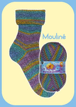 Load image into Gallery viewer, Opal Bouquet Mouline 4 ply sock yarn 11685 golden times
