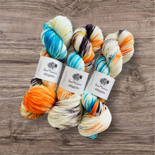 Load image into Gallery viewer, Hand dyed merino dk yarn ewemomma just dunk me
