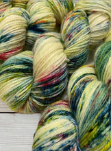 Load image into Gallery viewer, Superwash Bluefaced Leicester/Corriedale DK, 100g/3.5oz, Word Salad
