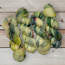Load image into Gallery viewer, Superwash Bluefaced Leicester/Corriedale DK, 100g/3.5oz, Word Salad
