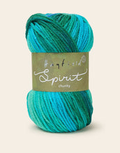 Load image into Gallery viewer, Hayfield Spirit Chunky 100g
