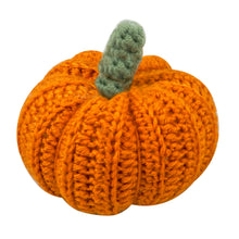 Load image into Gallery viewer, Pumpkin Crochet Kit Trimits GCK244
