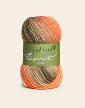 Load image into Gallery viewer, Hayfield Spirit Chunky 100g
