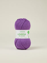 Load image into Gallery viewer, Loveful Bio Blend Chunky, 100g
