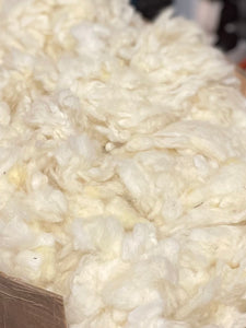 Raw fleece for spinning 