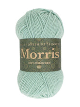 Load image into Gallery viewer, West Yorkshire Spinners Morris DK Mint
