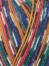 Load image into Gallery viewer, WYS Signature 4ply - Sparkle
