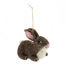 Load image into Gallery viewer, Needle Felting Kit, Bunny
