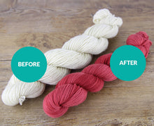 Load image into Gallery viewer, Beginners&#39; Yarn Dyeing Kit
