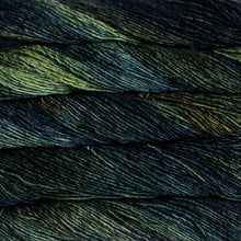 Load image into Gallery viewer, Malabrigo Washted
