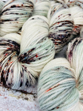 Load image into Gallery viewer, Superwash Merino DK/Light Worsted Yarn Wool, 100g/3.5oz, A Brave Man
