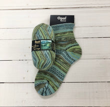 Load image into Gallery viewer, Opal Vincent Van Gogh 4ply
