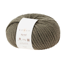 Load image into Gallery viewer, Rowan Big Wool Cactus
