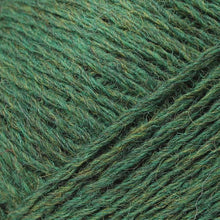 Load image into Gallery viewer, DK Warth Mill, British Wool, 100g
