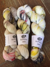 Load image into Gallery viewer, Superwash Merino Nylon Titanium Sock Yarn, 100g/3.5oz, Dude In A Lab Coat
