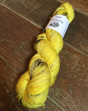 Load image into Gallery viewer, Superwash Merino Single Ply Fingering Yarn, 100g/3.5oz, Bananadrama
