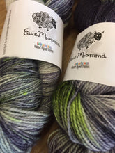 Load image into Gallery viewer, Superwash Merino Nylon Titanium Sock Yarn, 100g/3.5oz, Room 552
