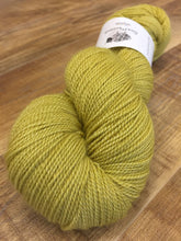 Load image into Gallery viewer, Non Superwash, No Nylon Corriedale Sock Yarn, 100g/3.5oz, Chicken Licken
