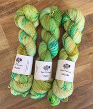 Load image into Gallery viewer, Superwash Merino Nylon Titanium Sock Yarn, 100g/3.5oz, I&#39;ll Have What She&#39;s Having
