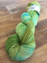 Load image into Gallery viewer, Superwash Merino Nylon Titanium Sock Yarn, 100g/3.5oz, I&#39;ll Have What She&#39;s Having
