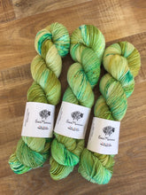 Load image into Gallery viewer, Superwash Bluefaced Leicester Nylon Ultimate Sock Yarn, 100g/3.5oz, I&#39;ll Have What She&#39;s Having
