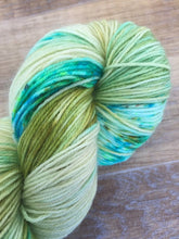 Load image into Gallery viewer, Superwash Bluefaced Leicester Nylon Ultimate Sock Yarn, 100g/3.5oz, I&#39;ll Have What She&#39;s Having

