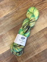 Load image into Gallery viewer, Superwash Sport/5 Ply Yarn Wool, 100g/3.5oz, Not Tonight Josephine

