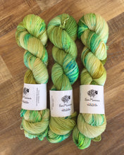 Load image into Gallery viewer, Superwash Merino Nylon Titanium Sock Yarn, 100g/3.5oz, I&#39;ll Have What She&#39;s Having
