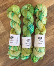 Load image into Gallery viewer, Superwash Merino Nylon Titanium Sock Yarn, 100g/3.5oz, I&#39;ll Have What She&#39;s Having
