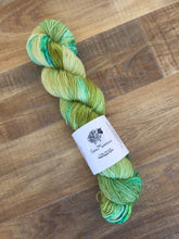 Load image into Gallery viewer, Superwash Bluefaced Leicester Nylon Ultimate Sock Yarn, 100g/3.5oz, I&#39;ll Have What She&#39;s Having
