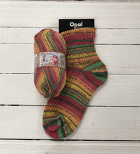 Load image into Gallery viewer, Opal Autumn Melody 4ply
