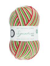 Load image into Gallery viewer, WYS Signature 4ply - Christmas
