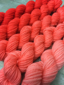 Superwash Merino DK/Light Worsted Minis, 100g/3.5oz, Magma Gradient Set