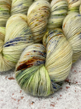 Load image into Gallery viewer, Superwash Bluefaced Leicester Nylon Ultimate Sock Yarn, 100g/3.5oz, Rendezvous

