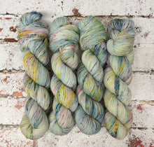 Load image into Gallery viewer, Superwash Merino Nylon Titanium Sock Yarn, 100g/3.5oz, Word Salad
