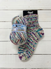 Load image into Gallery viewer, Opal X-Large Wilder Winter 8ply/DK
