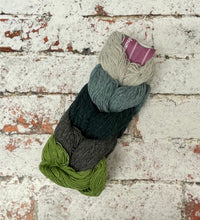 Load image into Gallery viewer, Kinross 4 Ply Mini Skein Hanks, 5x20g

