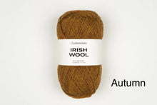 Load image into Gallery viewer, Cushendale Irish Wool, DK
