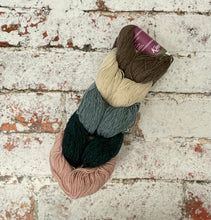 Load image into Gallery viewer, Kinross 4 Ply Mini Skein Hanks, 5x20g

