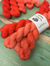 Load image into Gallery viewer, Superwash Merino DK/Light Worsted Minis, 100g/3.5oz, Magma Gradient Set
