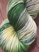 Load image into Gallery viewer, Superwash Merino Nylon Titanium Sock Yarn, 100g/3.5oz, Tell it to the Frogs

