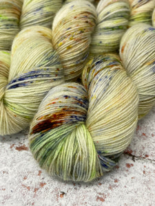 Superwash Bluefaced Leicester Nylon Ultimate Sock Yarn, 100g/3.5oz, Rendezvous