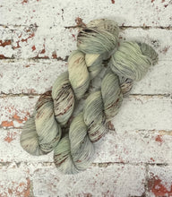 Load image into Gallery viewer, Superwash BFL Nylon Ultimate Sock Yarn, 100g/3.5oz, A Brave Man
