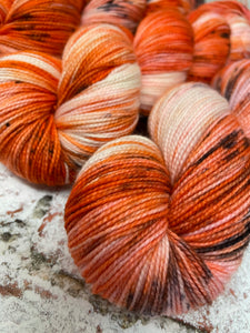 Superwash Merino Nylon Titanium Sock Yarn, 100g/3.5oz, Take the Cookies