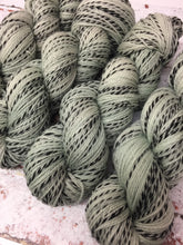 Load image into Gallery viewer, Superwash Zebra 4 Ply Fingering Yarn, 100g/3.5oz, Whisperer
