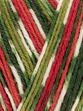 Load image into Gallery viewer, WYS Signature 4ply - Christmas
