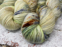Load image into Gallery viewer, Superwash Bluefaced Leicester Nylon Ultimate Sock Yarn, 100g/3.5oz, Rendezvous

