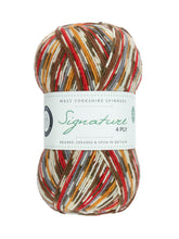 Load image into Gallery viewer, WYS Signature 4ply - Christmas
